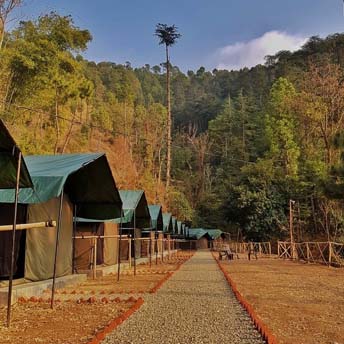 Jungle-Stay-Chail.jpg